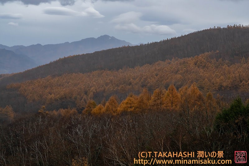 ../Images/7R251109 (143).jpg